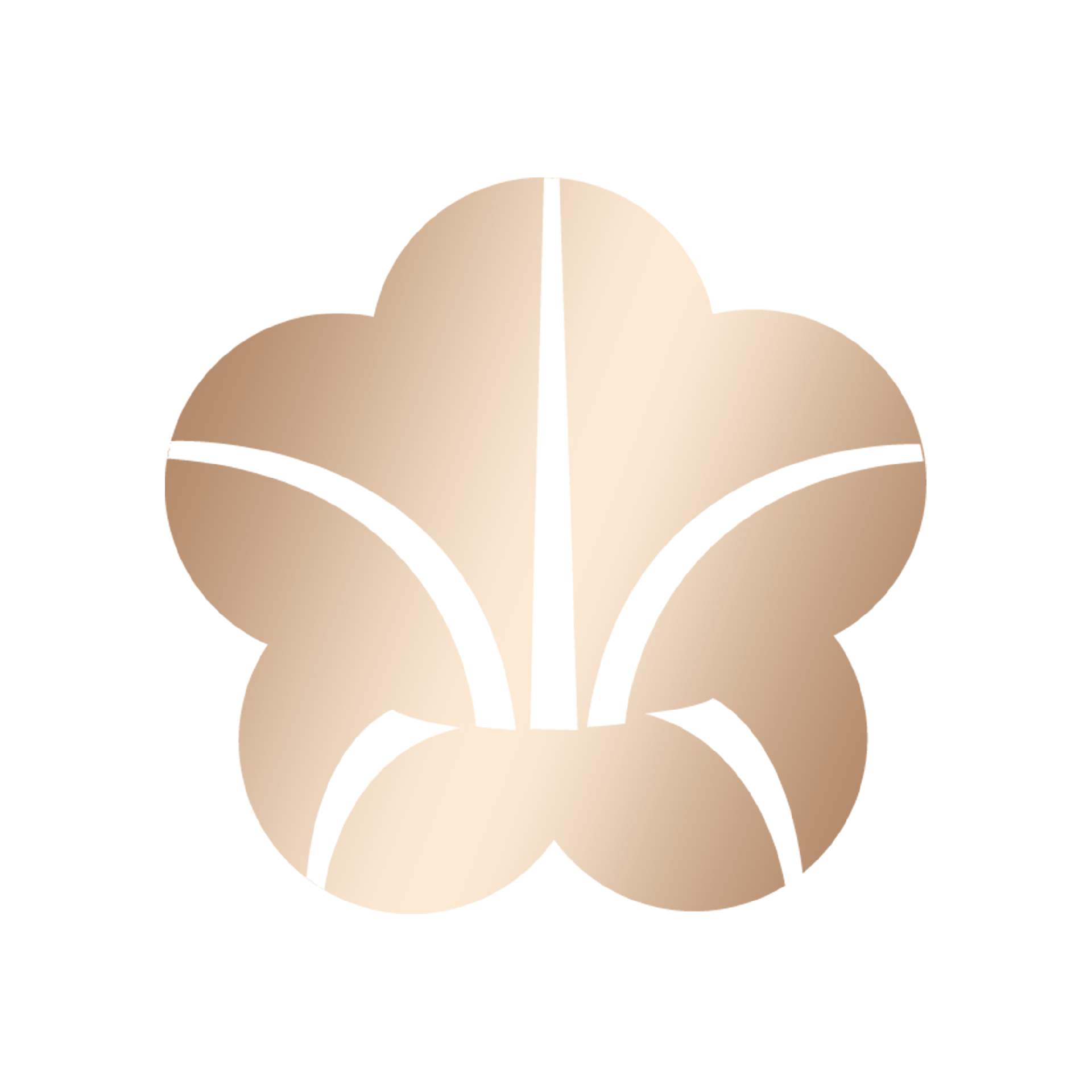 中和风Goodwind官网